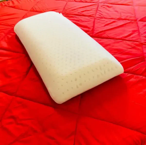 SHREDDED LATEX PIECES PACK 5 PILLOWS Vfurnituremall (Varam Latex)