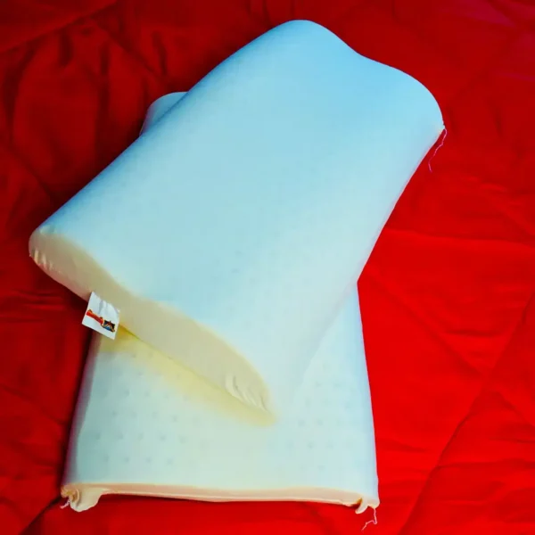 PURE LATEX CONTOUR PILLOW Vfurnituremall (Varam Latex)