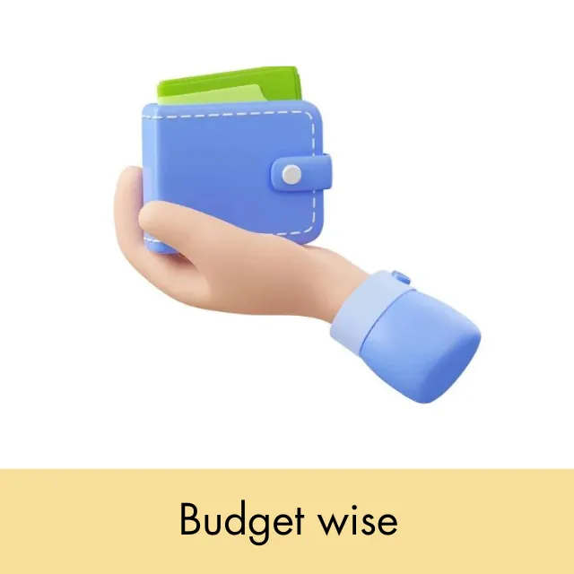 Budget wise