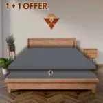 1+1 offer 2"SS