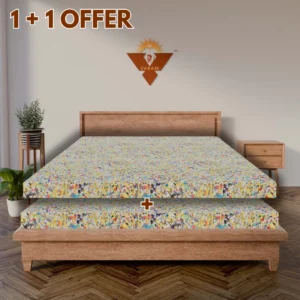 1+1 offer 4"Reb