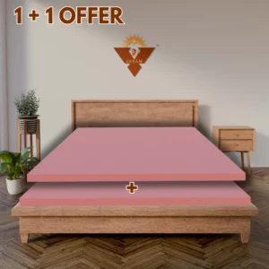 1+1 offer 2"Hr