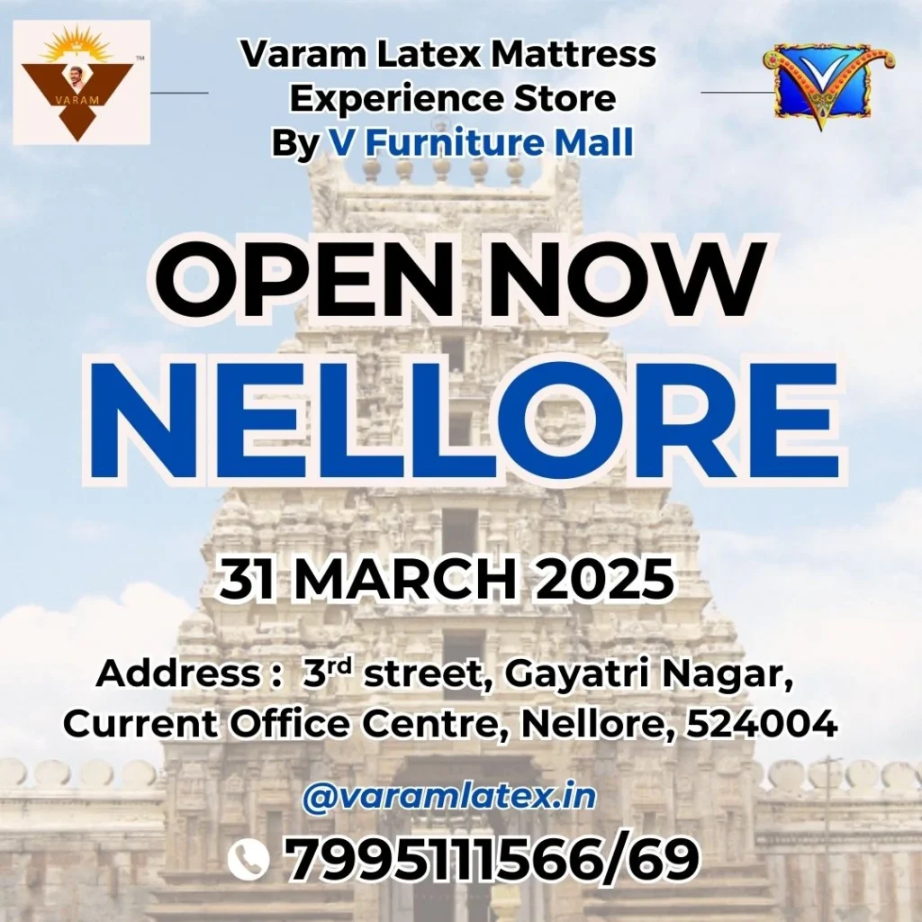 display point nellore